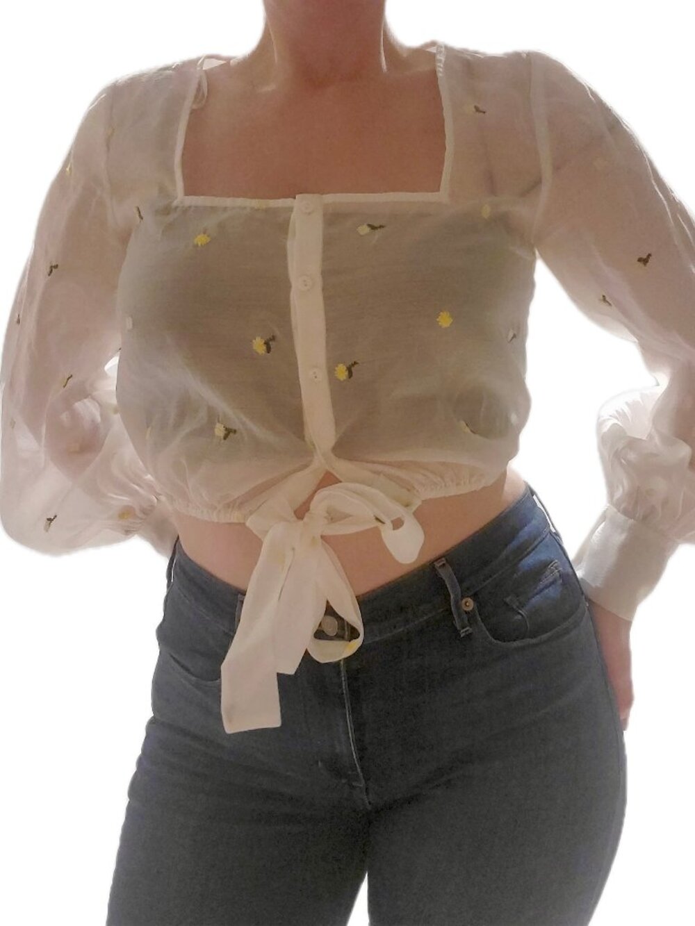 The East Order White Sheer Puff Sleeve Embroidered Crop Top